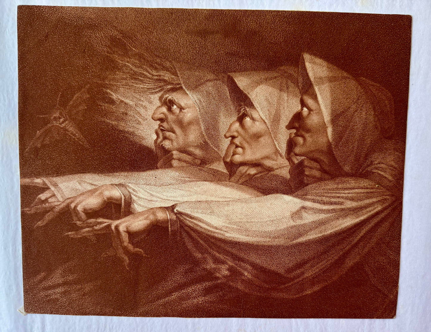 The Witches