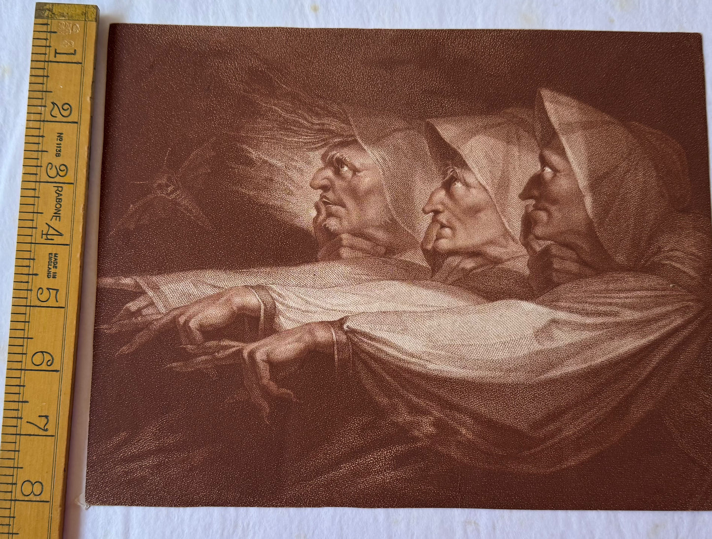 The Witches