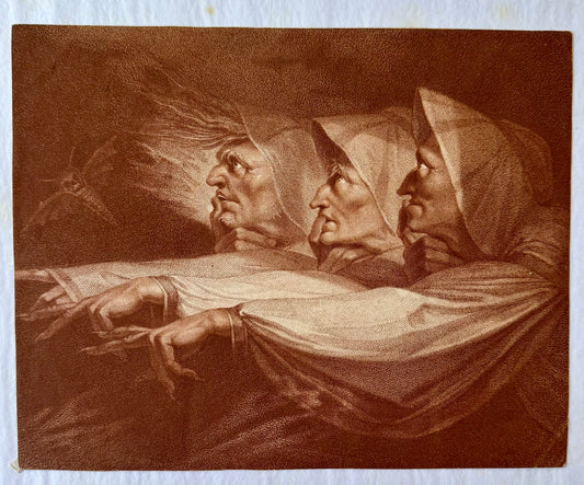 The Witches