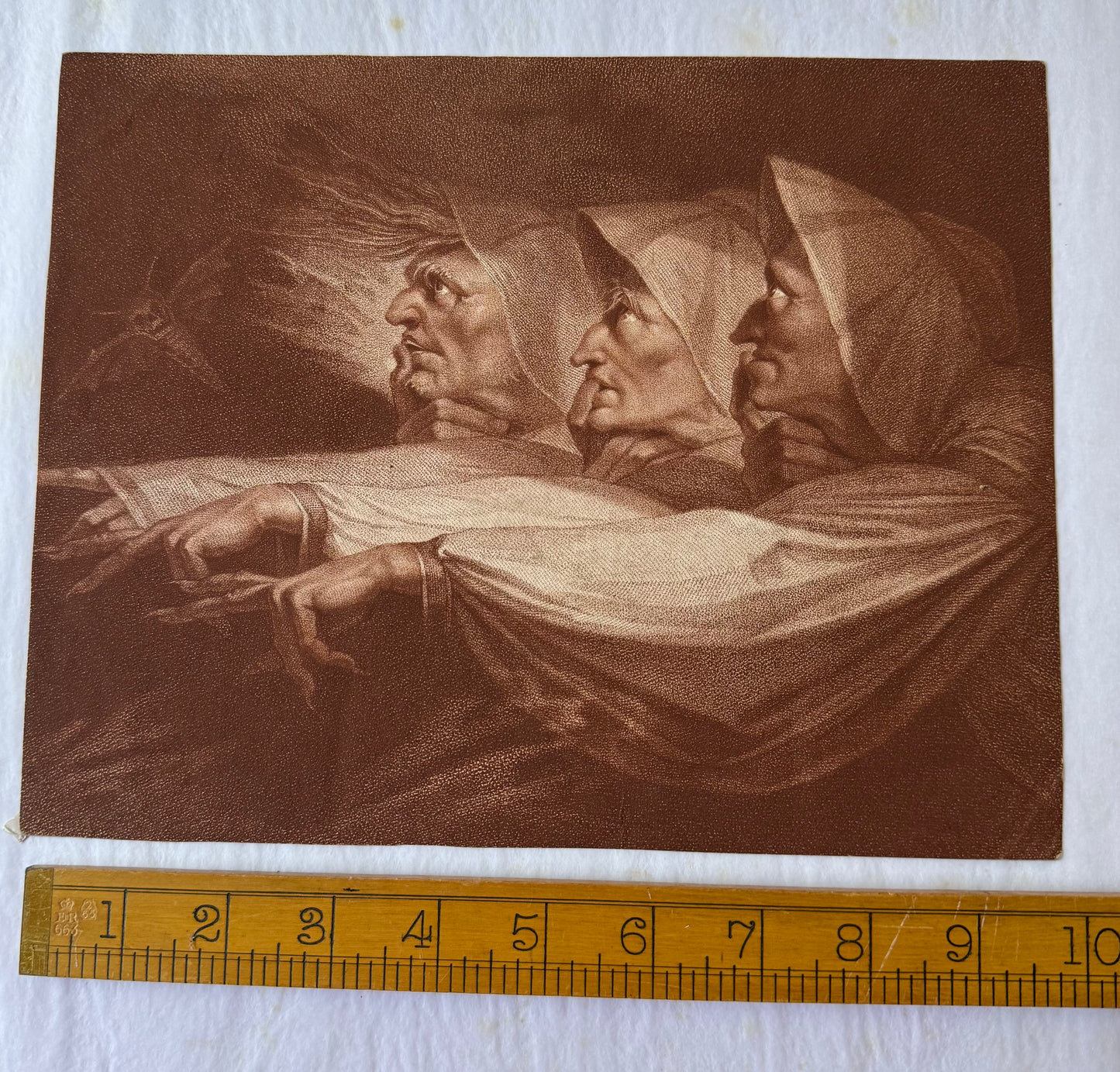 The Witches